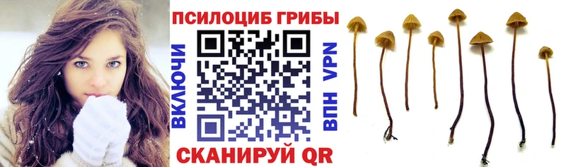 продажа наркотиков Канск Галлюциногенные грибы GOLDEN TEACHER